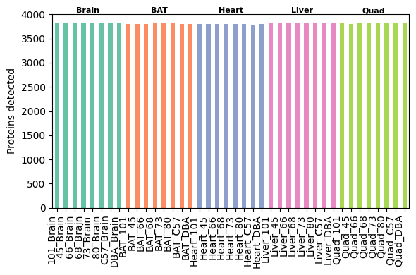 ../_images/tutorials_proteoform-inference_bludau-2021_reproduction_28_1.png